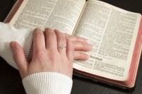 dreamstime_xl_49109122