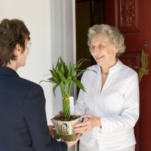 Attractive senior woman receiving gift of bamboo plant at front door