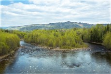 dreamstime_s_30384276